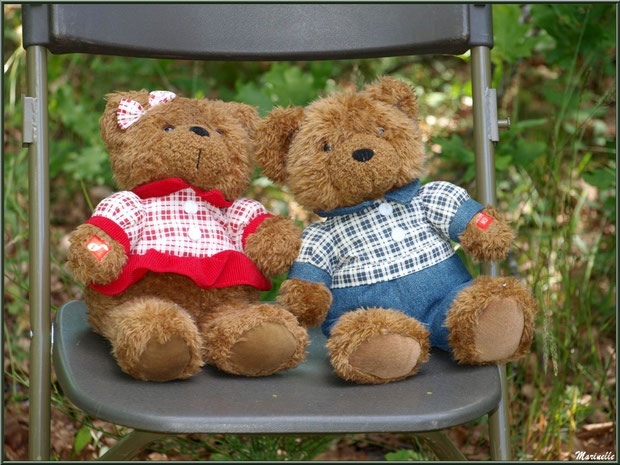 Mr et Mme Nounours sur une chaise à la Fête de la Nature 2013 au Parc de la Chêneraie à Gujan-Mestras (Bassin d'Arcachon) 