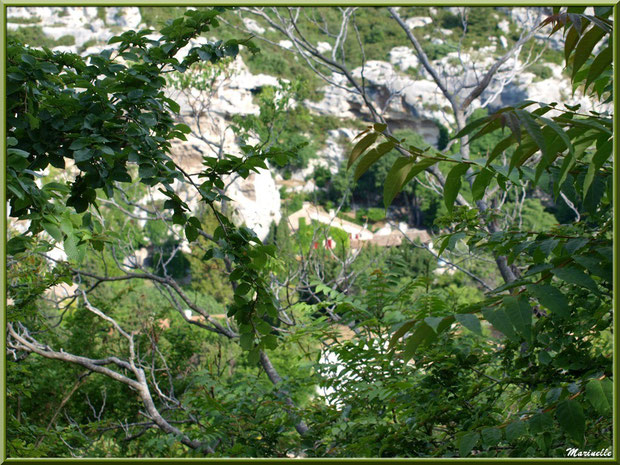 Derrière la verdure, le village en contrebas dans la vallée, Baux-de-Provence, Alpilles (13)