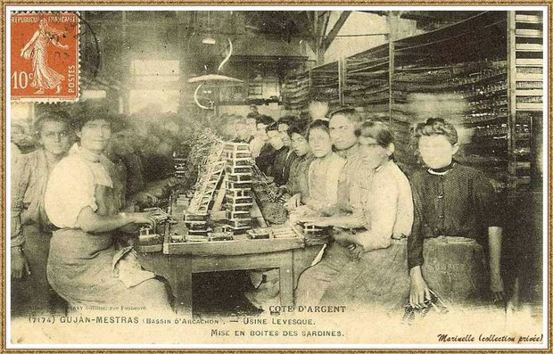 Gujan-Mestras autrefois : Mise en boîtes des sardines à l'Usine-Conserverie Levesque, Bassin d'Arcachon (carte postale, collection privée)