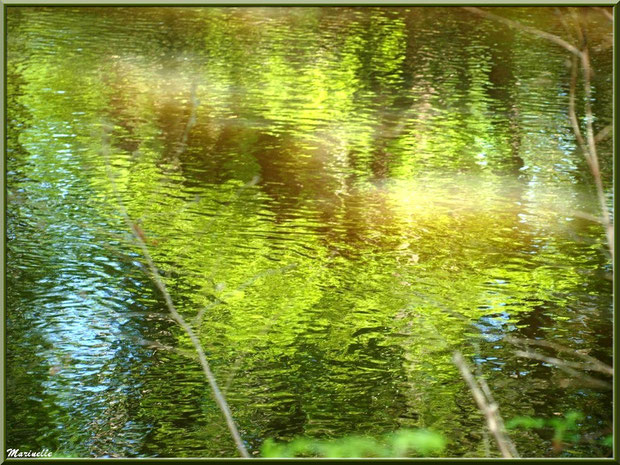 Reflets impressionnistes sur La Leyre, Sentier du Littoral au lieu-dit Lamothe, Le Teich, Bassin d'Arcachon (33) 