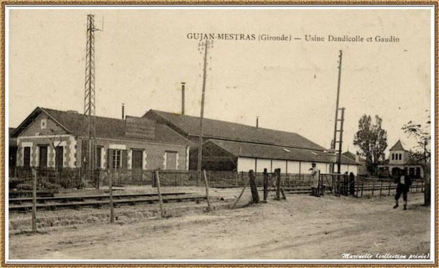 Gujan-Mestras autrefois : Usine-Conserverie de sardines "Dandicolle et Gaudin", Bassin d'Arcachon (carte postale, collection privée)