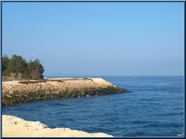 Digue "Bartherote" à La Pointe au Cap Ferret, Bassin d'Arcachon