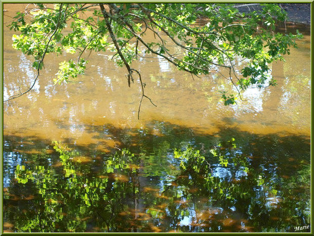 Reflets sur le Canal des Landes au Parc de la Chêneraie à Gujan-Mestras (Bassin d'Arcachon) 