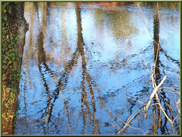 Reflets hivernaux sur le Canal des Landes au Parc de la Chêneraie à Gujan-Mestras (33)
