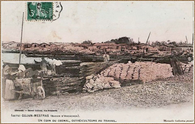 Gujan-Mestras autrefois : en 1907, ostréiculteurs au travail dans la darse principale du Port de Larros, Bassin d'Arcachon (carte postale - version colorisée, collection privée)