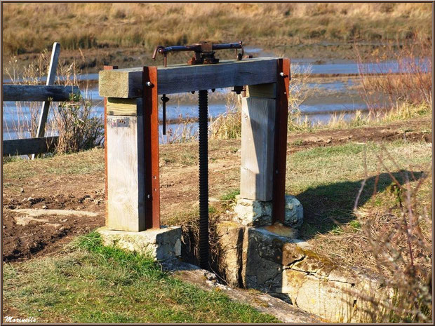 Une écluse en bordure du sentier et d'un chenal entre Bassin et réservoirs, Sentier du Littoral, secteur Domaine de Certes et Graveyron, Bassin d'Arcachon (33)