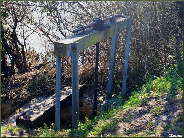 Une écluse en bordure d'un réservoir, Sentier du Littoral, secteur Domaine de Certes et Graveyron, Bassin d'Arcachon (33)