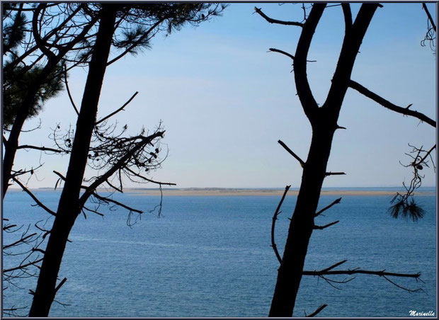 Vue depuis les hauteurs de La Corniche à Pyla-sur-Mer, Bassin d'Arcachon (33) : le Bassin, bancs de sable, Banc d'Arguin