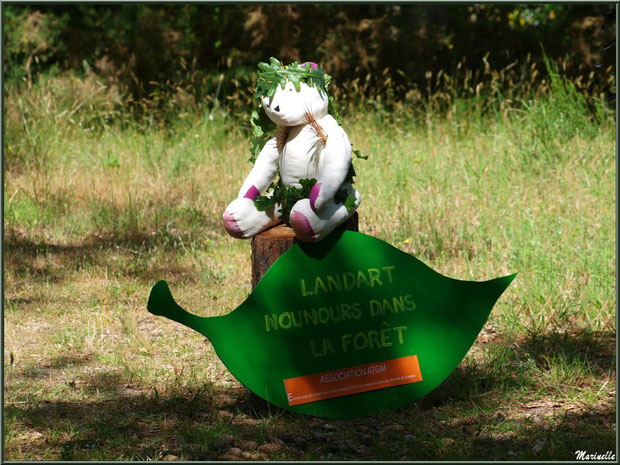 Nounours sur une souche à la Fête de la Nature 2013 au Parc de la Chêneraie à Gujan-Mestras (Bassin d'Arcachon) 