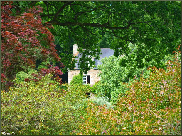 Le Manoir derrière la végatation - Les Jardins du Kerdalo à Trédarzec, Côtes d'Armor (22)