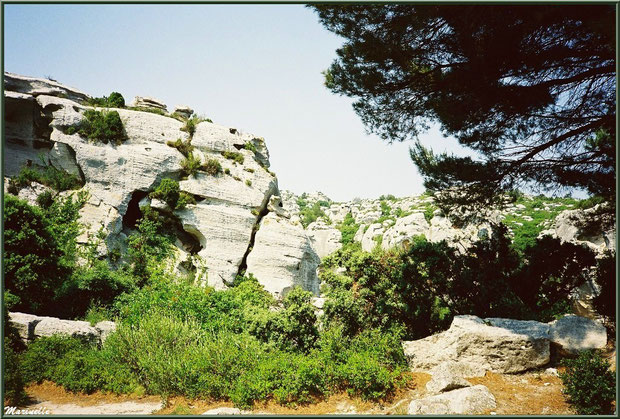 Le Val d'Enfer avec ses rochers et sa garrigue, Baux-de-Provence, Alpille (13)