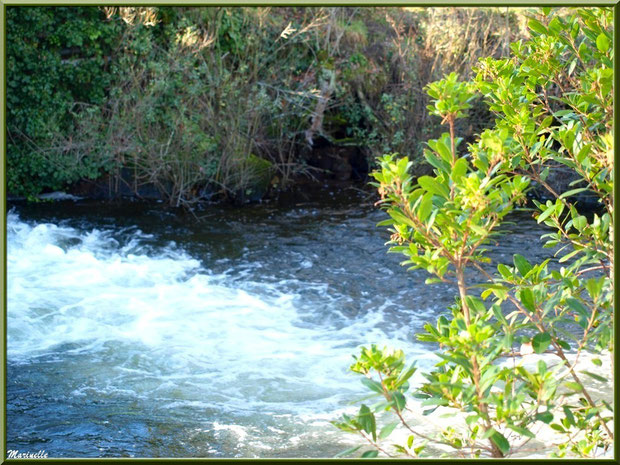 Coulée d'eau en sortie d'une écluse sur le Canal des Landes au Parc de la Chêneraie à Gujan-Mestras (Bassin d'Arcachon)