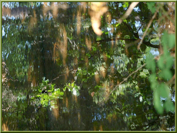 Reflets impressionnistes sur le Canal des Landes au Parc de la Chêneraie à Gujan-Mestras (Bassin d'Arcachon) 