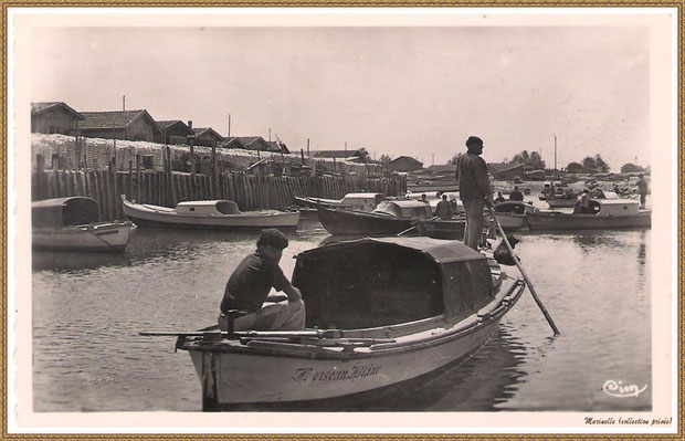 Gujan-Mestras autrefois : (version plus récente) Pinasse de Dubuch "L'Oiseau Blanc" rentrant au Port de Larros (darse principale), Bassin d'Arcachon (carte postale, collection privée)  