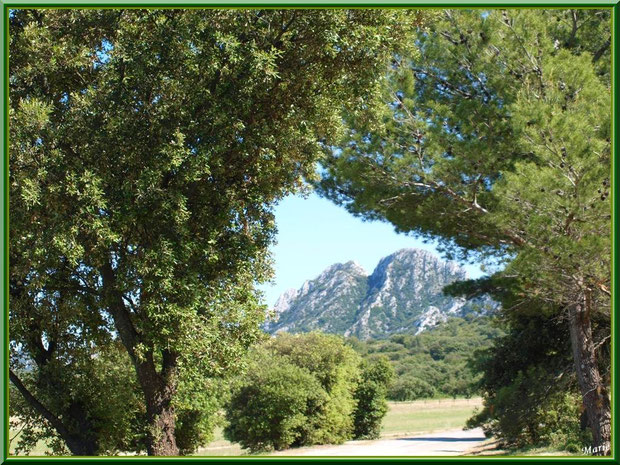 Au bout de la petite route, la piste de l'aérodrome de Romanin avec les Alpilles pour décor à Saint Rémy de Provence (13)