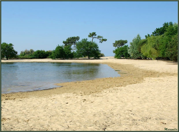 Le bassin de baignade de Saint Brice à Arès (Bassin d'Arcachon)