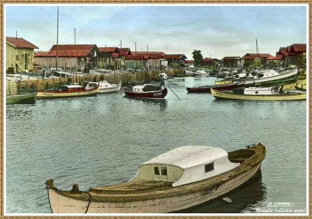 Gujan-Mestras autrefois : en 1965, pinasses dans la darse secondaire du Port de Larros, Bassin d'Arcachon (carte postale - version couleur, collection privée)