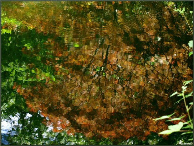 Reflets de la végétation sur le Petit Etang au bas de la Cascade - Les Jardins du Kerdalo à Trédarzec, Côtes d'Armor (22)