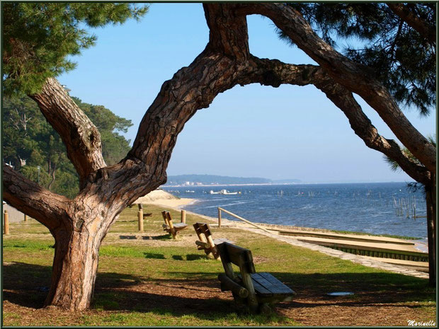 Pin et bancs sur l'esplanade devant l'entrée de la Chapelle Algérienne et vue imprenable sur le Bassin,Village de L'Herbe, Bassin d'Arcachon (33) 