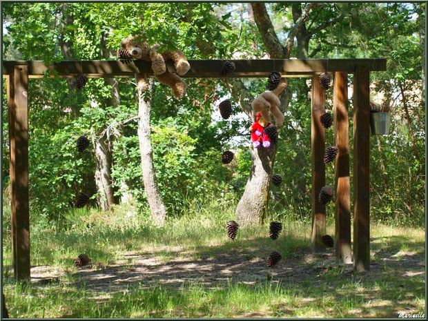 Nounours et guirlandes de pignes sur un des portiques du parcours santé à la Fête de la Nature 2013 au Parc de la Chêneraie à Gujan-Mestras (Bassin d'Arcachon) 