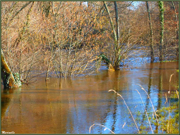 La Leyre et ses reflets en hiver, Sentier du Littoral au lieu-dit Lamothe, Le Teich, Bassin d'Arcachon (33) 