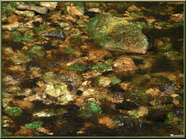 Une multitude de pierres colorées font, par endroits, le lit de La Leyre, Sentier du Littoral au lieu-dit Lamothe, Le Teich, Bassin d'Arcachon (33)