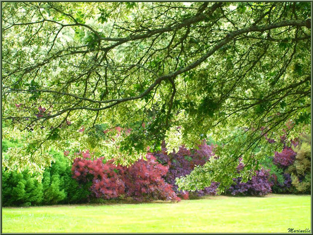 La Lande Dorée - Les Jardins du Kerdalo à Trédarzec, Côtes d'Armor (22) 