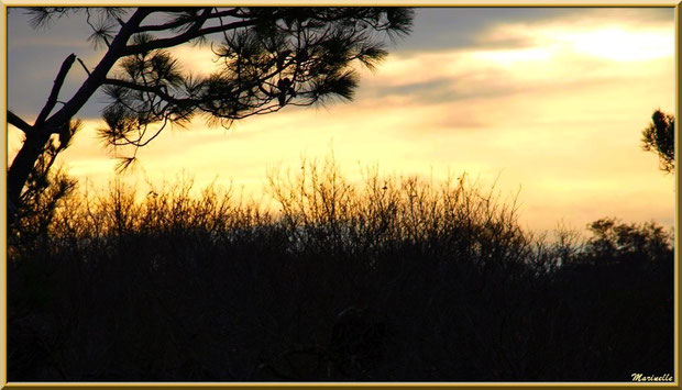 Coucher de soleil sur le Sentier du Littoral, Bassin d'Arcachon (33)