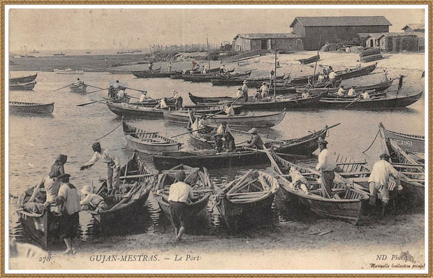 Gujan-Mestras autrefois : Darse principale du Port de Larros avec pinassottes et pinasses à voile, Bassin d'Arcachon (carte postale, collection privée)