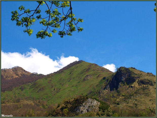 Vue sur les Pyrénées depuis la Pisciculture des Sources à Laruns, Vallée d'Ossau (64)  