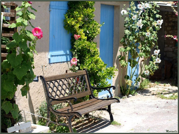 Banc pour une petite halte, au détour d'une ruelle, à Talmont-sur-Gironde, Charente-Maritime