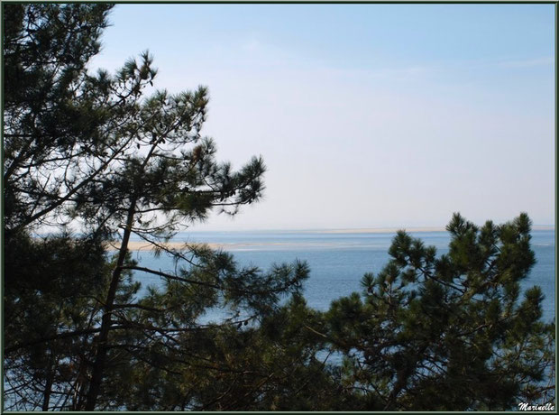 Vue depuis les hauteurs de La Corniche à Pyla-sur-Mer, Bassin d'Arcachon (33) : le Bassin, bancs de sable, Banc d'Arguin et les Passes en toile de fond