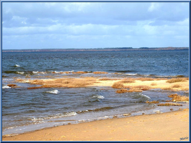 Plage au Port du Canal à Gujan-Mestras Bassin d'Arcachon à marée montante