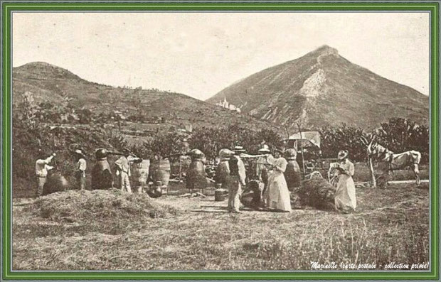 Autrefois... Distillation de la lavande vers 1900 (carte postale - collection privée)