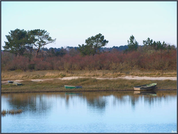 Canots dans les prés salés en bordure du sentier du littoral depuis le port d'Arès, Bassin d'Arcachon