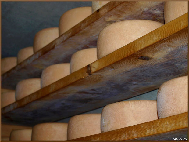 Fromage de brebis dans un saloir d'alpage sur les hauteurs de Gourette (dans la bergerie de mon ami Christian Arripe), Vallée d'Ossau (64)