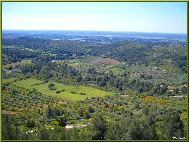 Vue panoramique sur la vallée (oliveraies, ajoncs en fleurs...) depuis l'esplanade du château, Château des Baux-de-Provence, Alpilles(13)