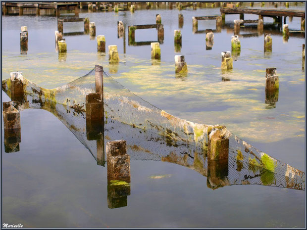 Reflets dans d'anciens réservoirs ostréicoles au Port du Canal (Gujan-Mestras, Bassin d'Arcachon)