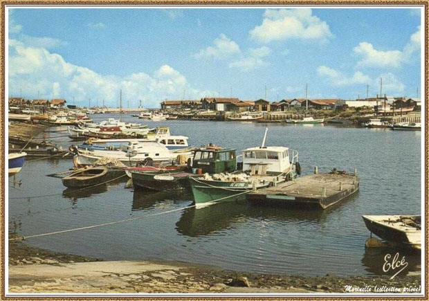 Gujan-Mestras autrefois : Pinasses et chalands dans la darse principale du Port de Larros, Bassin d'Arcachon (carte postale, collection privée)