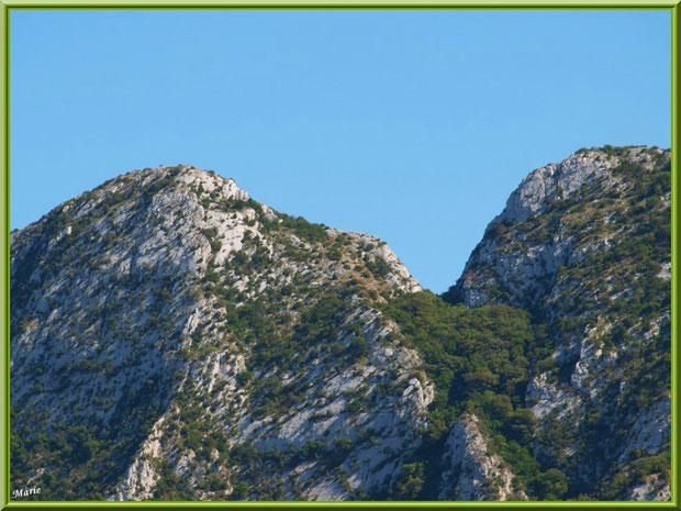 Les Alpilles au-dessus du vignoble du Château Romanin à Saint Rémy de Provence (13)