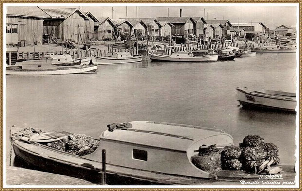 Gujan-Mestras autrefois : Pinasses dans la darse principale du Port de Larros, Bassin d'Arcachon (carte postale - version NB, collection privée)