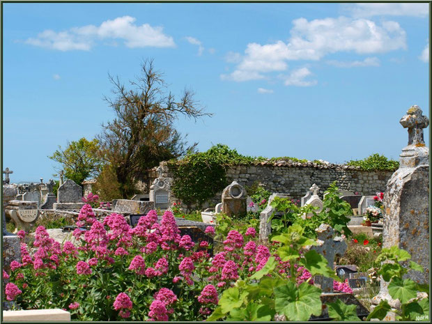 Le cimetière marin ou ancien cimetière à Talmont-sur-Gironde, Charente-Maritime