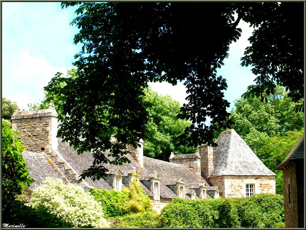 Le Manoir - Les Jardins du Kerdalo à Trédarzec, Côtes d'Armor (22) 