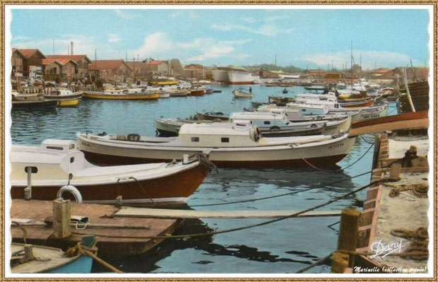 Gujan-Mestras autrefois : années 1950, pinasses, chalands... dans la darse principale du Port de Larros, Bassin d'Arcachon (carte postale, collection privée)