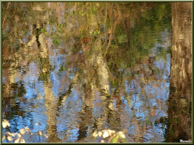 Reflets impressionnistes hivernaux sur le Canal des Landes au Parc de la Chêneraie à Gujan-Mestras (33)