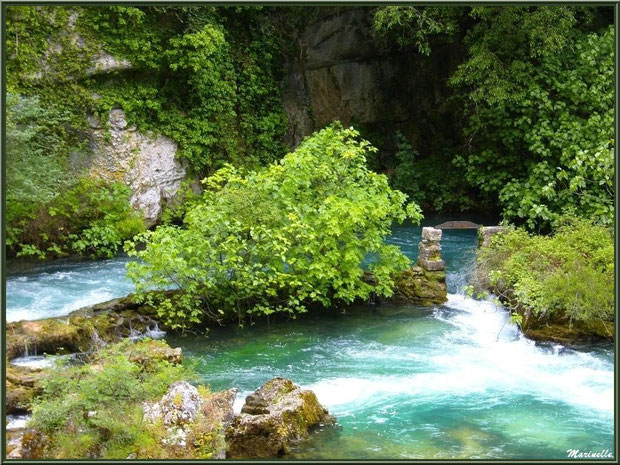 La Sorgue et ses reflets le long du chemin menant au gouffre et sa résurgence, Fontaine de Vaucluse, Pays de La Sorgue, Vaucluse (84) 