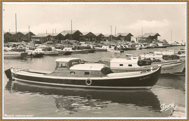 Gujan-Mestras autrefois : Pinasses, chalands... dans la darse principale du Port de Larros, Bassin d'Arcachon (carte postale - version NB, collection privée)