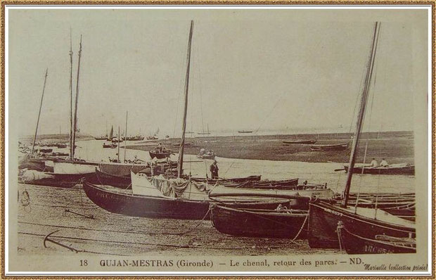 Gujan-Mestras autrefois : Pinasses à voile et retour des parcs, darse principale du Port de Larros, Bassin d'Arcachon (carte postale, collection privée)