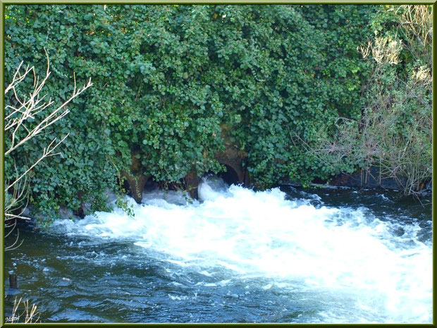 Coulée d'eau en sortie d'une écluse sur le Canal des Landes au Parc de la Chêneraie à Gujan-Mestras (Bassin d'Arcachon)