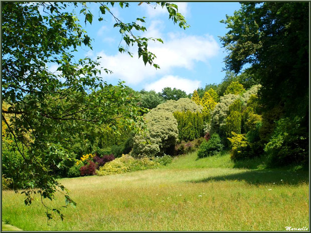 La Lande Dorée - Les Jardins du Kerdalo à Trédarzec, Côtes d'Armor (22) 